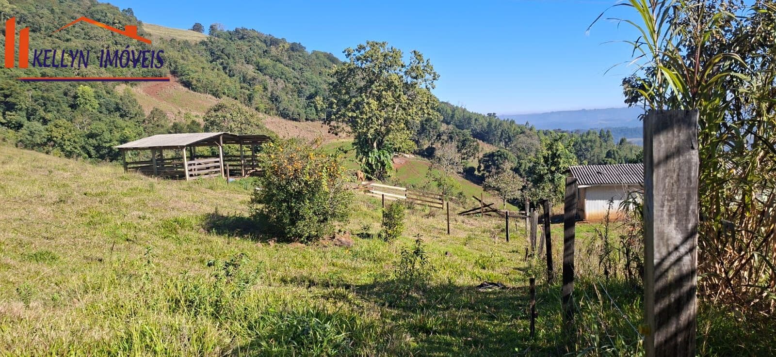 Fazenda/Sítios/Chácaras em Arvoredo - Centro