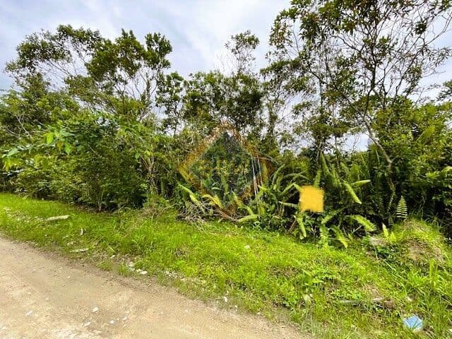 Lote/Terreno em Bertioga - São Lourenço