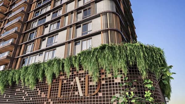 Lead Residence