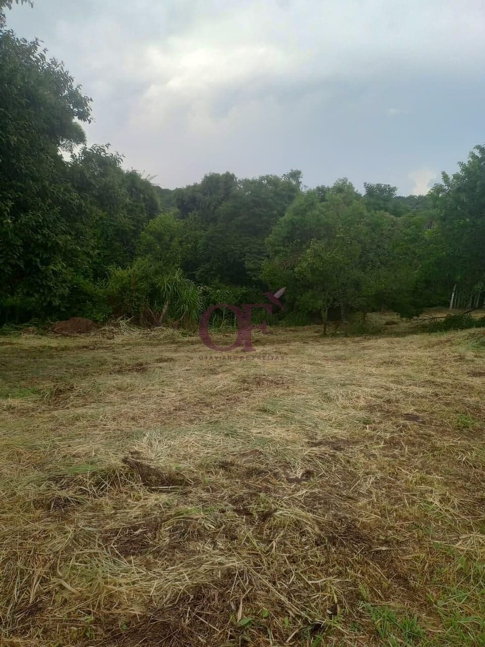 Terreno em Condomínio Fazenda Campo Verde - Caxambu, Jundiaí/SP
