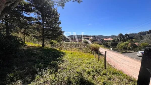 🌳 OPORTUNIDADE IMPERDÍVEL EM BATEIAS DE BAIXO – CAMPO ALEGRE/SC 🌳