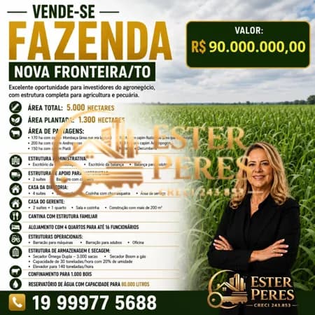 FAZENDA NOVA FRONTEIRA/ TO
