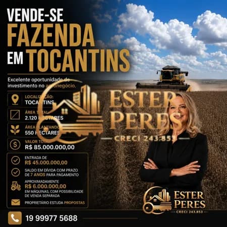 FAZENDA EM TOCANTINS