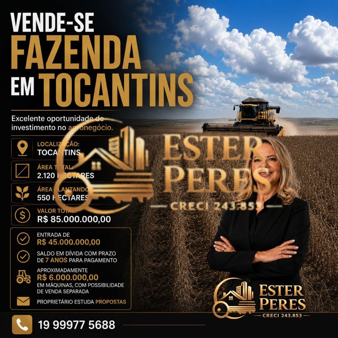 FAZENDA EM TOCANTINS
