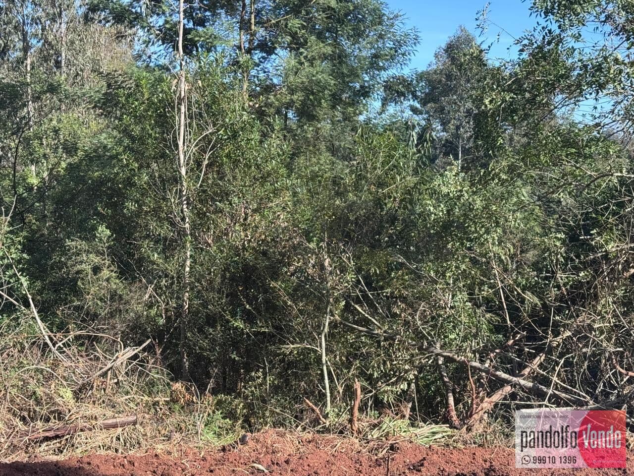 Lote/Terreno em Eldorado do Sul - Parque Eldorado 3