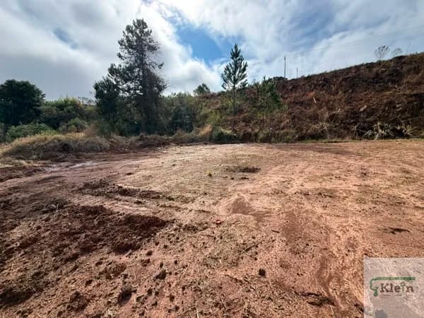 Lote/Terreno em Curitibanos - São Luiz