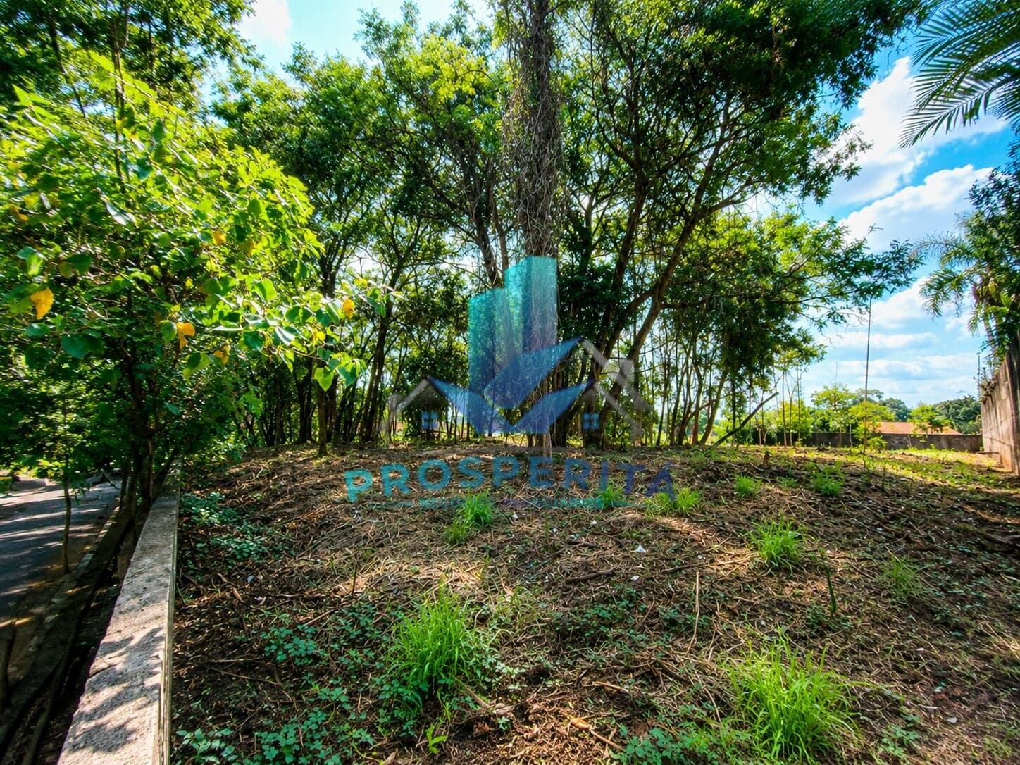 Lote/Terreno em Cotia - Granja Viana