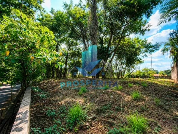 Lote/Terreno em Cotia - Granja Viana
