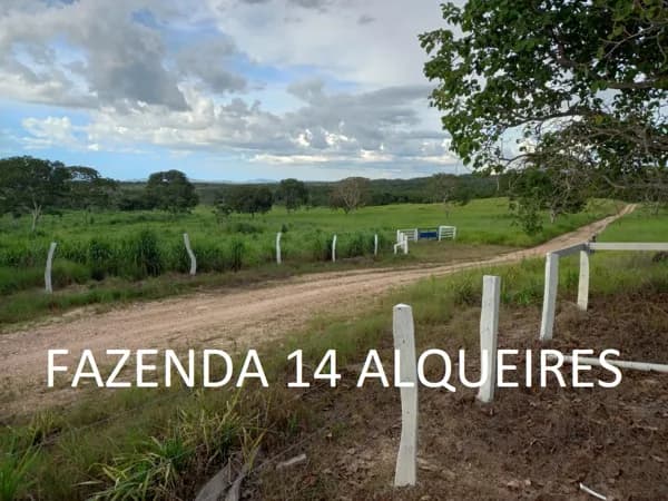 Fazenda 14 Alqueires Formada 3km Chão Niquelândia Goiás
