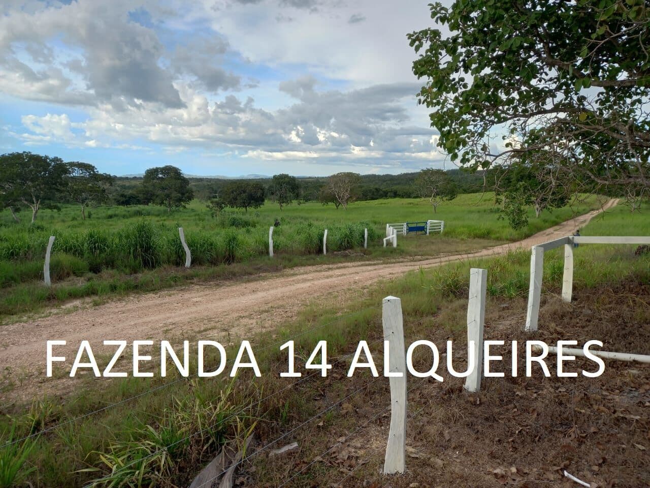 Fazenda 14 Alqueires Formada 3km Chão Niquelândia Goiás