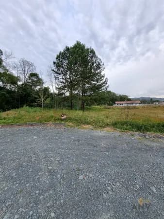 Lote/Terreno em Braço do Trombudo - Centro