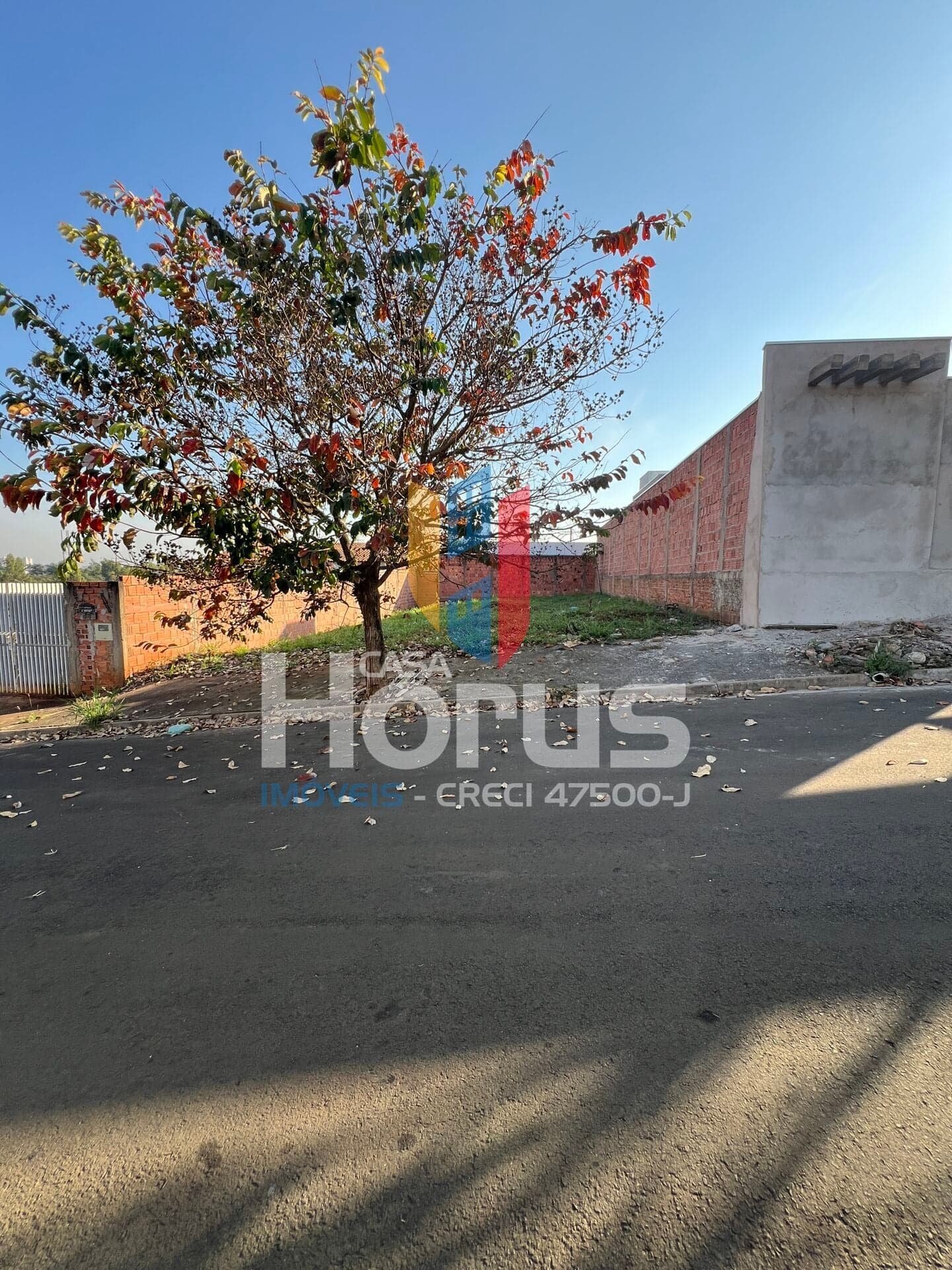 Terreno à Venda no Santa Luzia