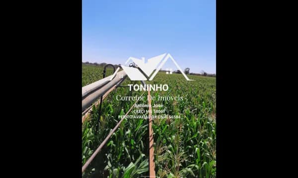 Fazenda/Sítios/Chácaras em Lagoa Grande - ZONA RURAL
