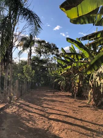 Fazenda/Sítios/Chácaras em Leopoldo de Bulhões - Centro