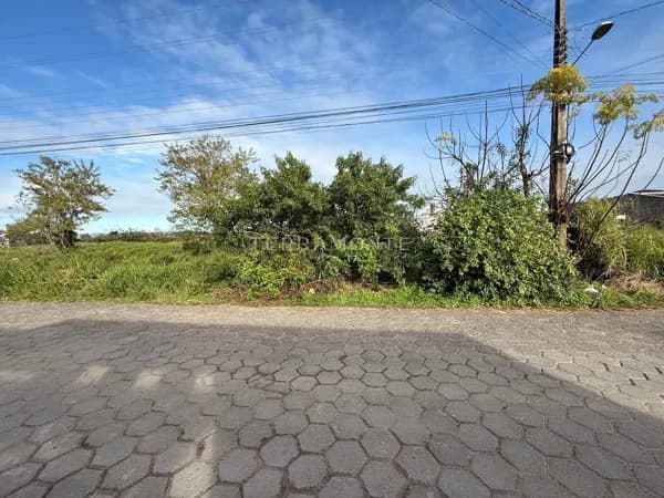 Lote/Terreno em Tubarão - Oficinas