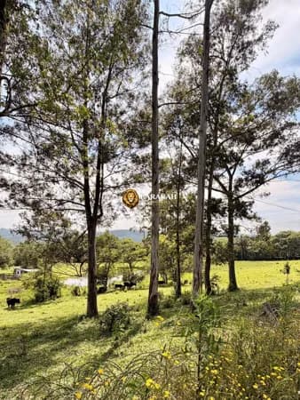 Chácara à venda em Caxias do Sul/RS