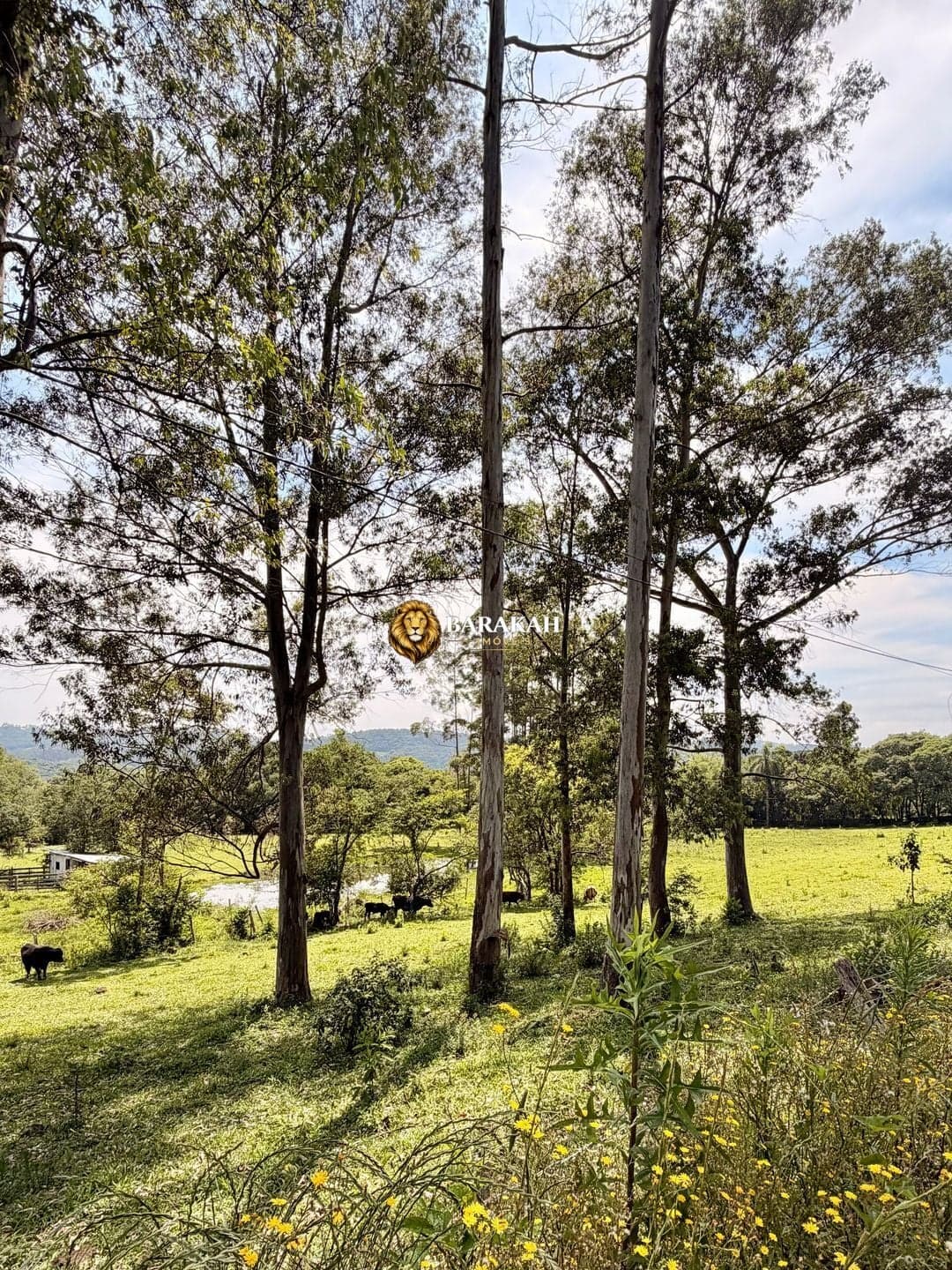Chácara à venda em Caxias do Sul/RS