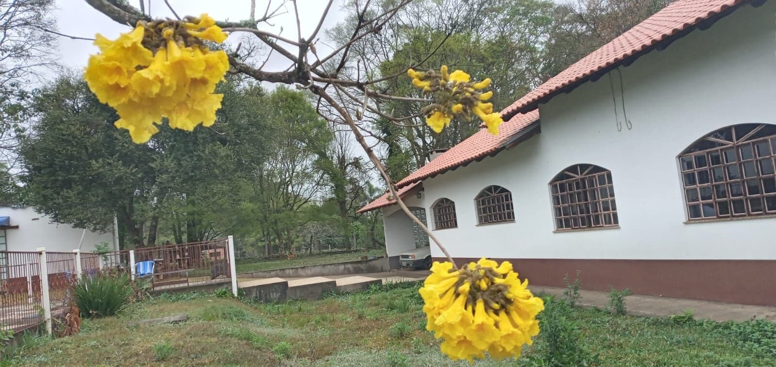 Chácara no Guaragi