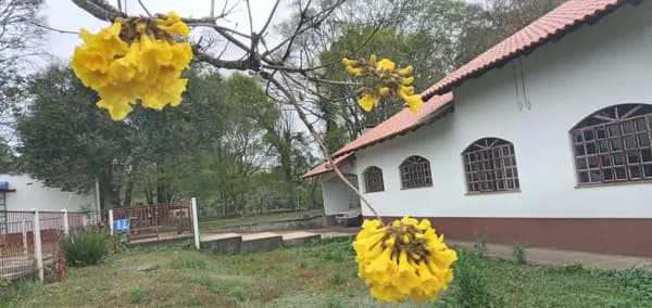 Chácara no Guaragi