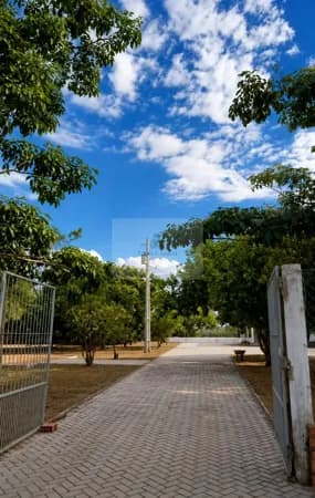 Fazenda/Sítios/Chácaras em Cidelândia - Centro