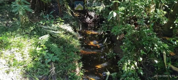 🌿🌊 ÁREAS RURAIS À VENDA EM MORRETES/PR – NATUREZA, ÁGUA E QUALIDADE DE VIDA 🌊🌿