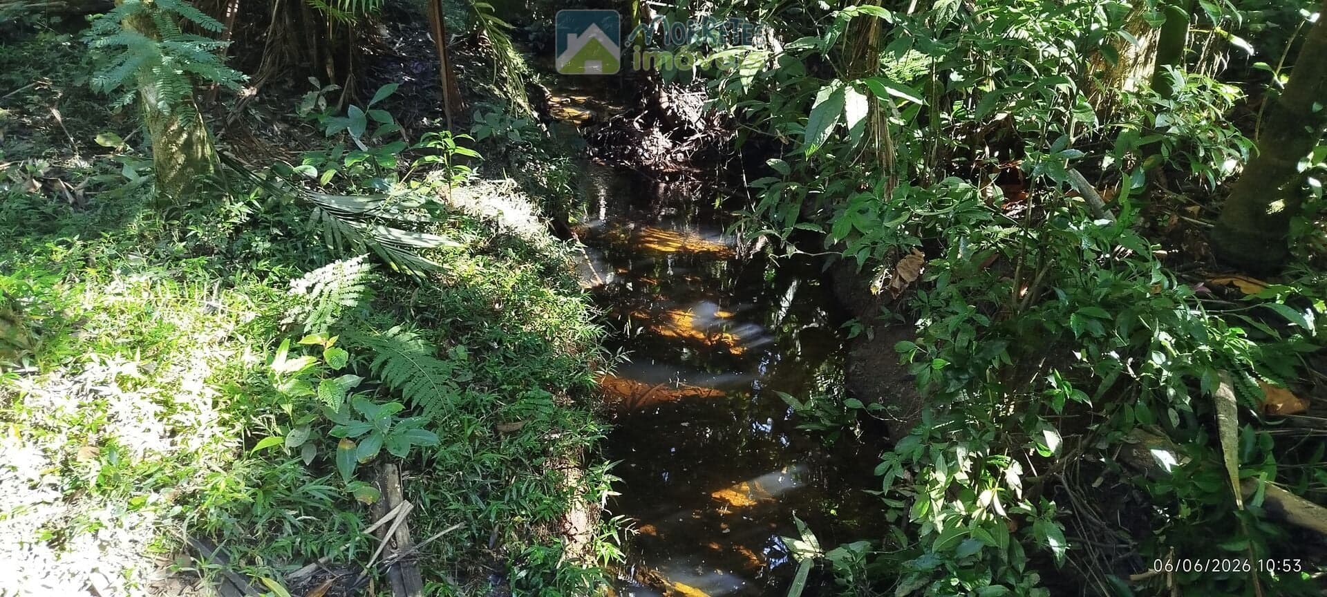 🌿🌊 ÁREAS RURAIS À VENDA EM MORRETES/PR – NATUREZA, ÁGUA E QUALIDADE DE VIDA 🌊🌿