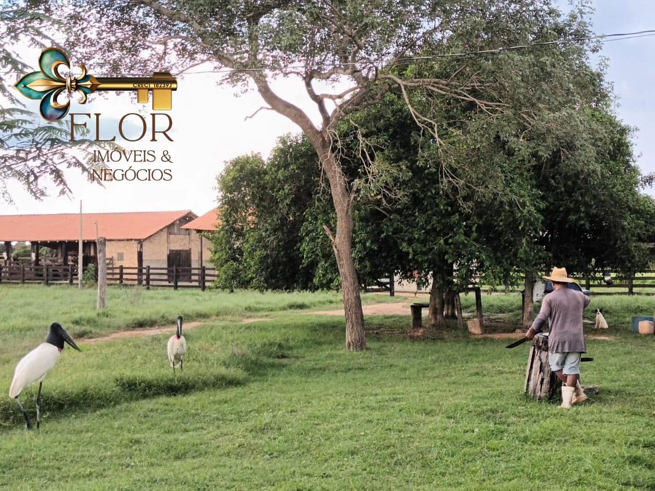 Fazenda à Venda em Poconé/MT – 7.420 Hectares às Margens do Rio Pixaim