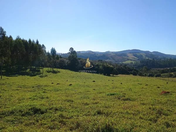 Sitio à venda em Monte Alegre do Sul – SP