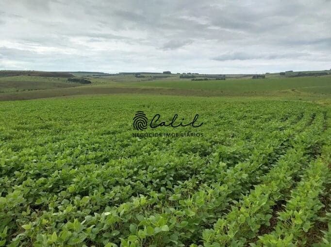 Fazenda de Dupla Aptidão à Venda em Sacramento/MG – 483,44 Hectares