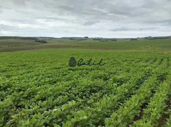 Fazenda de Dupla Aptidão à Venda em Sacramento/MG – 483,44 Hectares