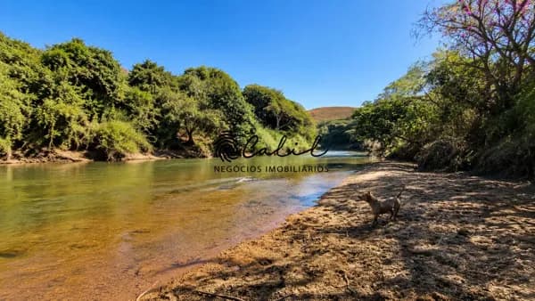 Fazenda 75 Hectares à Venda em Medeiros/MG | Rio Samburá, Vista para a Serra da Canastra e 90% Tratorável