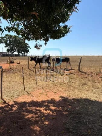 Fazenda/Sítios/Chácaras em Cassilândia - Centro