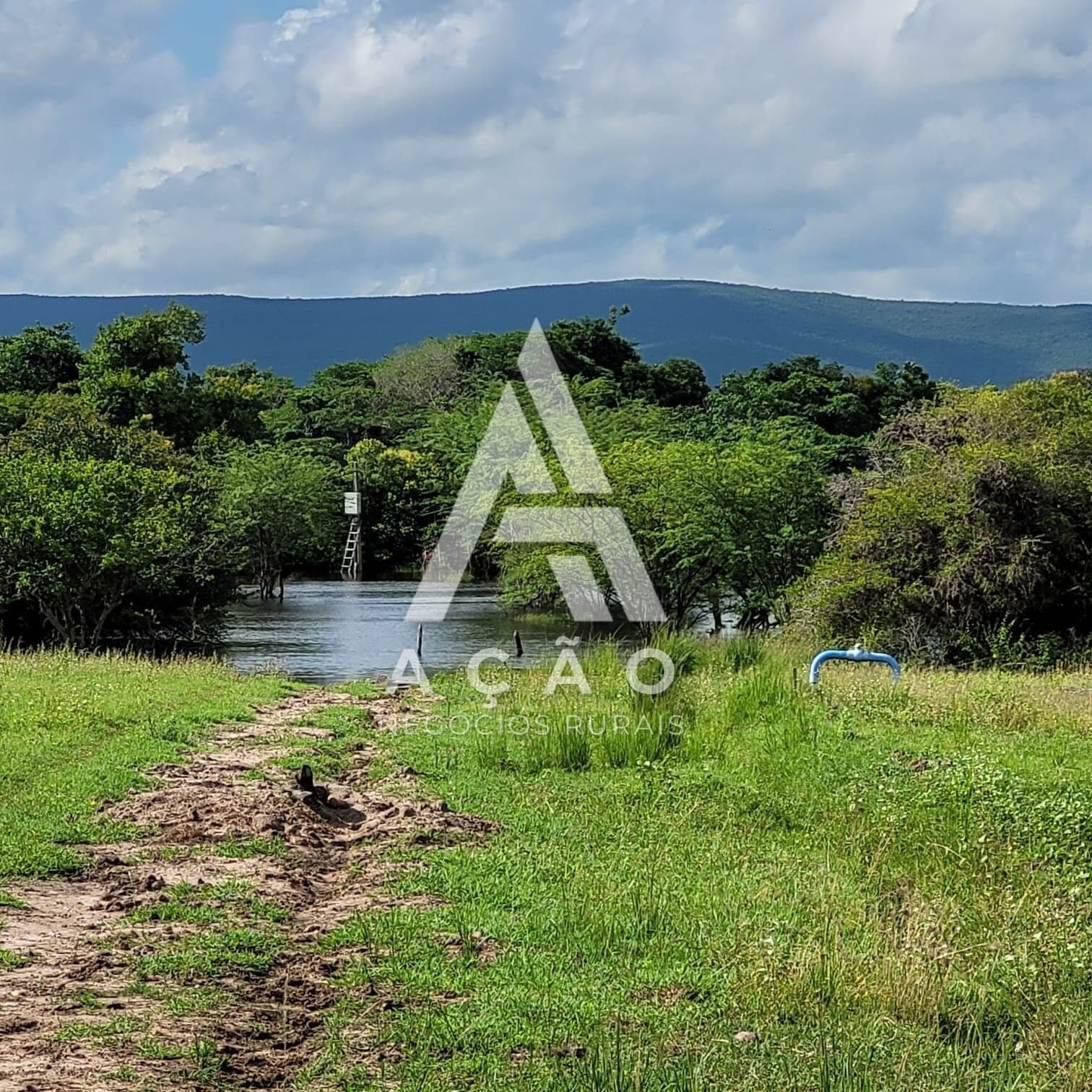 Fazenda no rio Paraguaçu