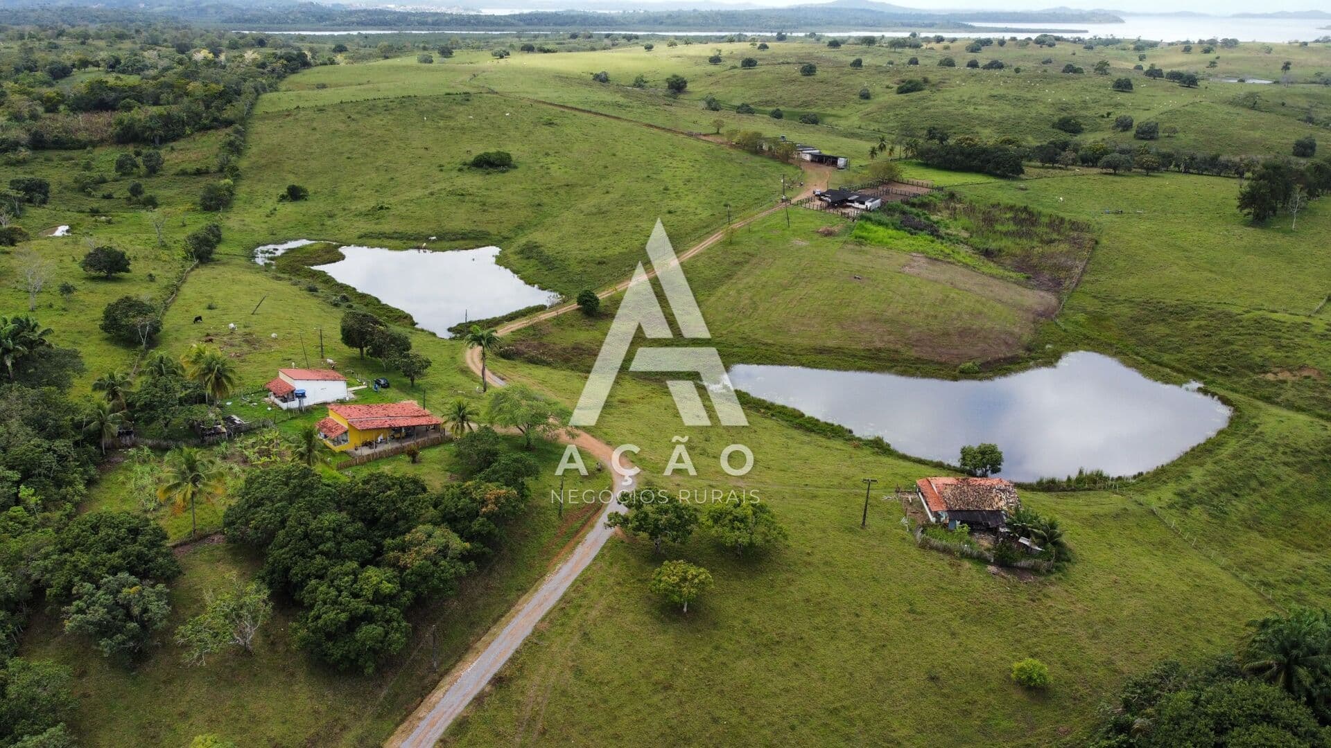 Fazenda Pecuária Reconcavo Baiano