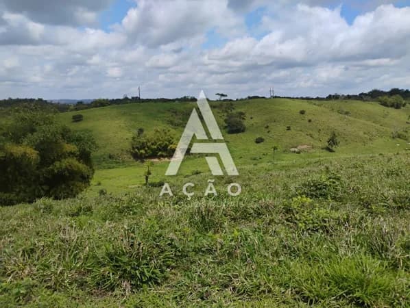 Fazenda Santo Amaro