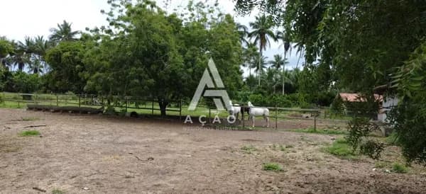 Fazenda/Sítios/Chácaras em Santo Amaro - Campinhos