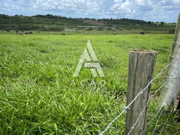 Fazenda para Leite