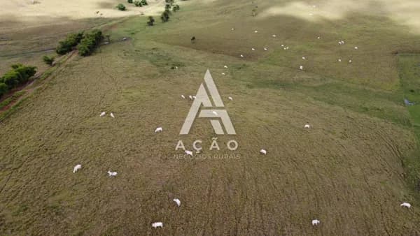 Fazenda Pecuária Reconcavo da bahia