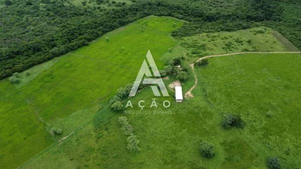 Fazenda Produtiva Pindobaçu
