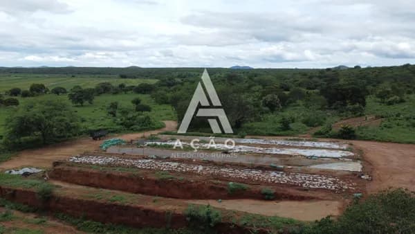 Fazenda Pecuária Irrigada