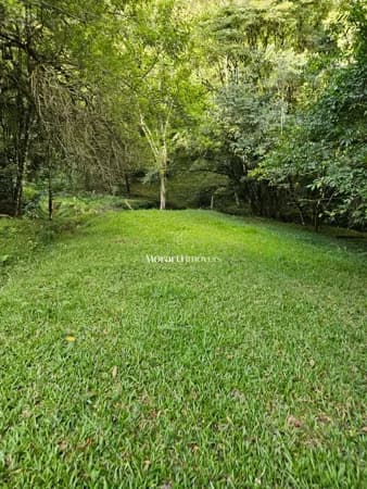 Fazenda/Sítios/Chácaras em Venâncio Aires - linha olavo bilac