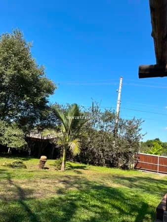 Fazenda/Sítios/Chácaras em Mato Leitão - Centro