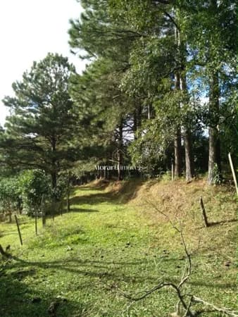 Fazenda/Sítios/Chácaras em Venâncio Aires - Linha cipo