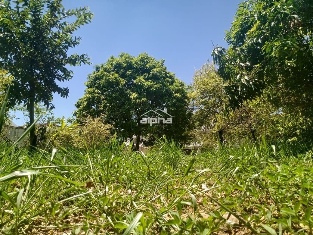 Lote/Terreno em Barueri - Alphaville