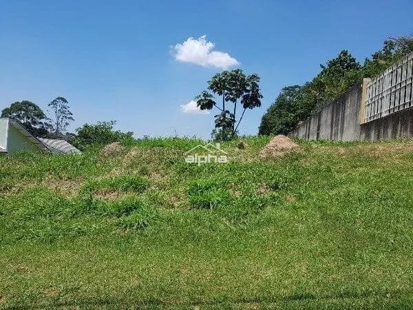 Excelente terreno!