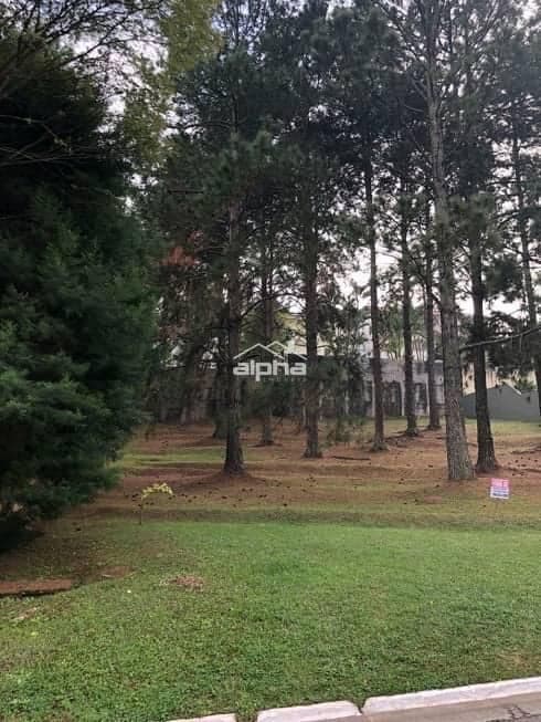 Lote/Terreno em Santana de Parnaíba - Alphaville