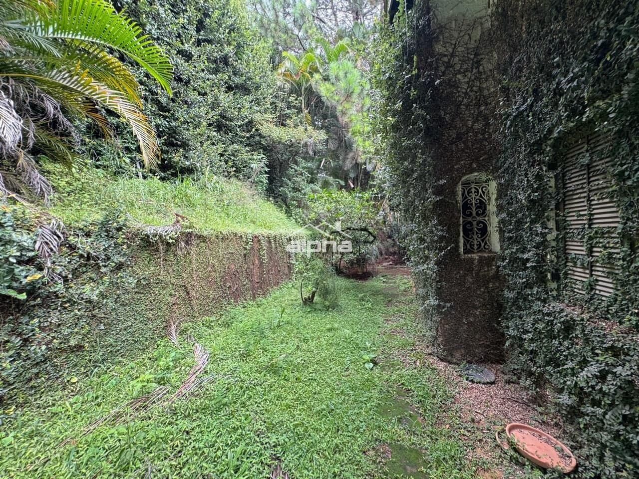 Casa de Condomínio em Barueri - Alphaville