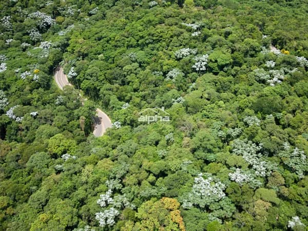Lote/Terreno em Santana de Parnaíba - Alphaville