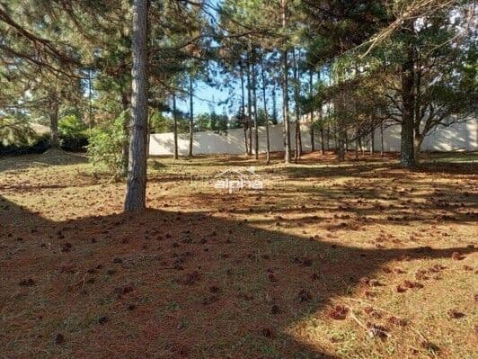 Terreno em Condomínio em Granja Viana, Cotia/SP
