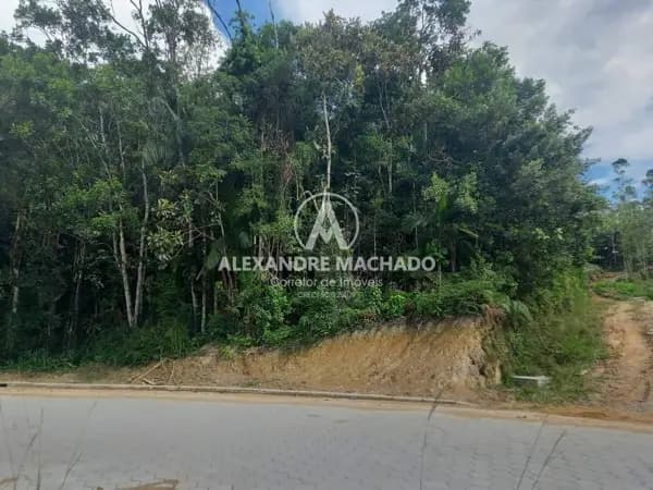 Terreno à venda no bairro Pomerânia em Guabiruba/SC